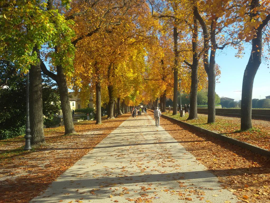 Appartamento Puccini Lucca Ngoại thất bức ảnh
